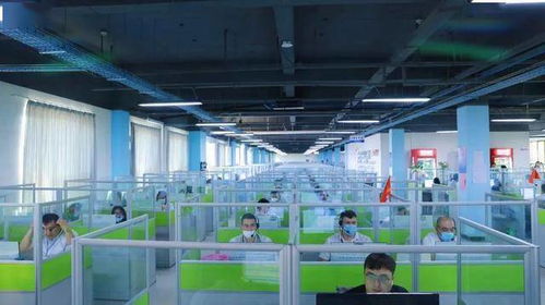 金山驕傲 工業(yè)互聯(lián)網數(shù)據(jù)服務領域集體與個人獲市級表彰